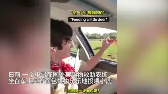小哥欢快地投喂动物 下一秒来的动物吓得小哥惊声尖叫