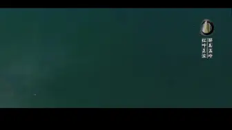 美得太撩人~温岭竟还藏着这么一片红叶林