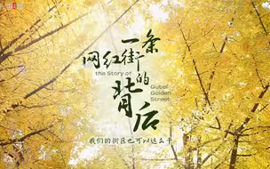 百姓话思想④｜“网红街”的背后：“全过程人民民主”的生动实践