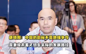 唐晓阳：中国的目标不是地缘争夺，是兼收并蓄又切合实际的发展路径