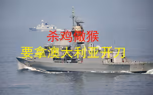 澳大利亚应该成为我们杀鸡儆猴的“鸡”，否则后患无穷