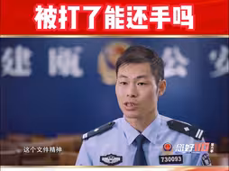 【您好110第六季】互殴还是正当防卫？被打了能还手吗？