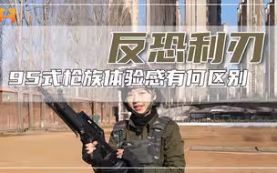 95式枪族综合性能强，其枪族中的三款枪体验感有何区别？