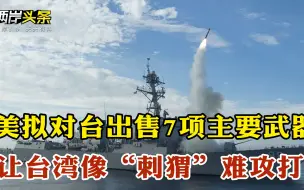 外媒：美拟对台出售7项主要武器 让台湾像“刺猬”难攻打
