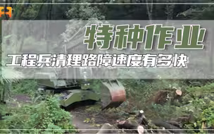 工程兵对付路障有哪些招数，清理路障的速度又有多快？
