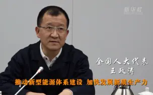 #视听看两会 全国人大代表王政涛：推动新型能源体系建设 加快发展新质生产力（新华社）