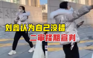 侵犯江歌生命权案二审择期宣判 刘鑫认为自己没错