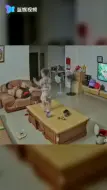 萌娃家中蹦迪踩裂茶几 看到爸爸秒怂