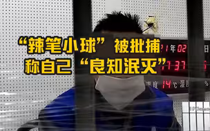 “辣笔小球”被批捕，称自己“良知泯灭”