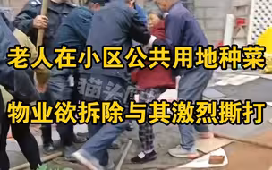 老人在小区公共用地种菜，物业欲拆除与其激烈撕打