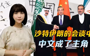 美国想听的话，沙特伊朗一句没说，所有文件和会谈，中文成了主角