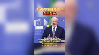 卢拉呼吁在国际贸易中弃用美元