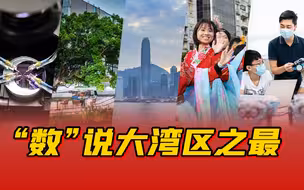 “数”说大湾区之最