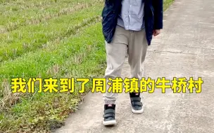 #牛年说牛 乡村面貌变化大，这个牛桥村有点不一样 #爱申活暖心春