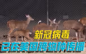 病毒，又在美国失控？专家担心：动物规模感染，或将回传给人