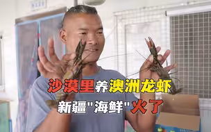 新疆”海鲜“火了！沙漠里也能吃上新鲜澳洲龙虾？
