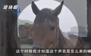 楼栋内传出奇怪响声居民夜不能寐 真相竟是有人在楼顶养马