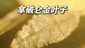 上海历史博物馆开年大展 尽览全球110件珍稀珠宝
