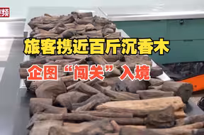 旅客携近百斤沉香木企图“闯关”入境被查