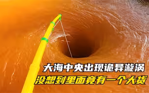 大海中央出现诡异漩涡，我用鱼竿放进漩涡之中，没想到是一个大货