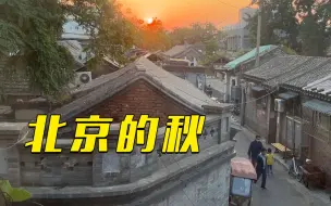 一起解锁绝美的北京文化之秋