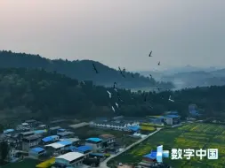 《CMG数字中国》| 科技助农 数字兴旅