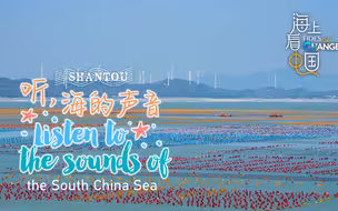 【自然治愈系】CGTN“听海的声音”汕头海岸的牧场与美食