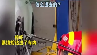 惊吓不轻！眼镜蛇竟然钻进了车内