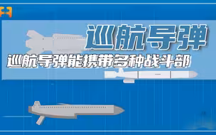 巡航导弹能携带多种战斗部，利用地形进行突防，不易被拦截！