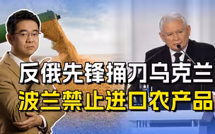 给武器却不要粮食？波兰要利益抵制盟友，禁止进口乌农产品