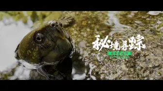 这里是海南·秘境寻踪