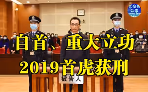 自首、重大立功，2019首虎获刑
