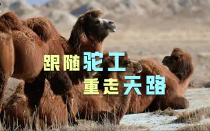 跟随驼工重走天路