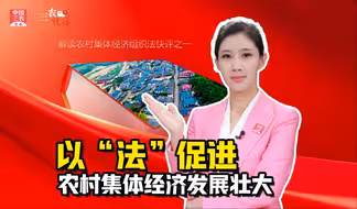 三农锐评丨以“法”促进农村集体经济发展壮大