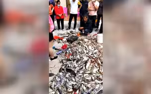 泉州“碳九泄漏事件”现场视频
