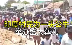 印度村民为一头公牛举办盛大葬礼  送葬队伍绵延不绝