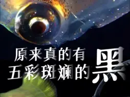 原来真的有五彩斑斓的黑！ 揭秘黑水摄影！暗夜深海的色彩太震撼  纪录片《雅印风华》即将开播