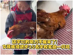 这学习的动力不就来了！女孩成绩进步35名，学校奖励一只鸡