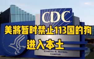 为防控狂犬病，美将禁止来自113国的狗进入美国
