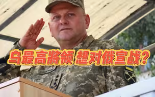 又喝多了？乌克兰武装部队总司令：我有一个梦想，把坦克开到红场