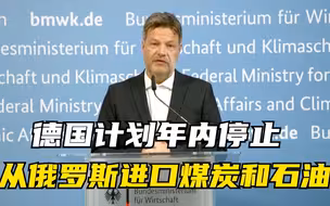 德国计划年内停止从俄罗斯进口煤炭和石油