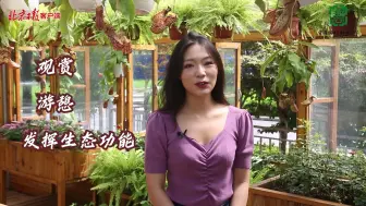 暑期云课堂|《园林小讲师》课程（22）山山水水尽在掌上微景观