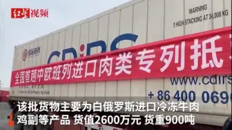 全国首趟！ 中欧班列进口肉类专列今日到成都