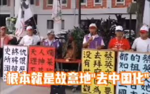 岛内历史教材中国史简化到“令人发指”！“拔蔡”团体上街抗议，怒骂民进党当局