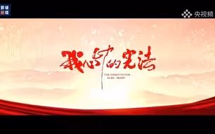 什么是宪法呀？