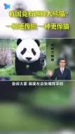 中国竟有两种大熊猫：一种像熊一种像猫 30万年没有过来往