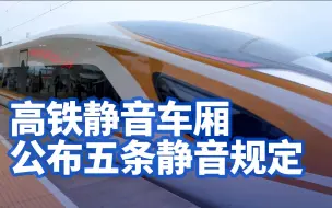 京沪高铁部分列车明起试点静音车厢，高铁静音车厢公布5条静音规定，不建议携婴幼儿旅客选静音车厢