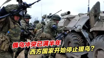 俄乌冲突已满半年，西方国家开始停止援乌？