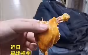 男子吃鸭腿 意外发现骨头暗藏“钢钉” 网友： 骨折打的钢钉？