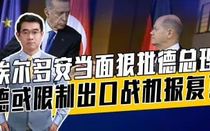 埃尔多安斥责记者袒护以色列，口吐莲花让朔尔茨下不来台，真过瘾